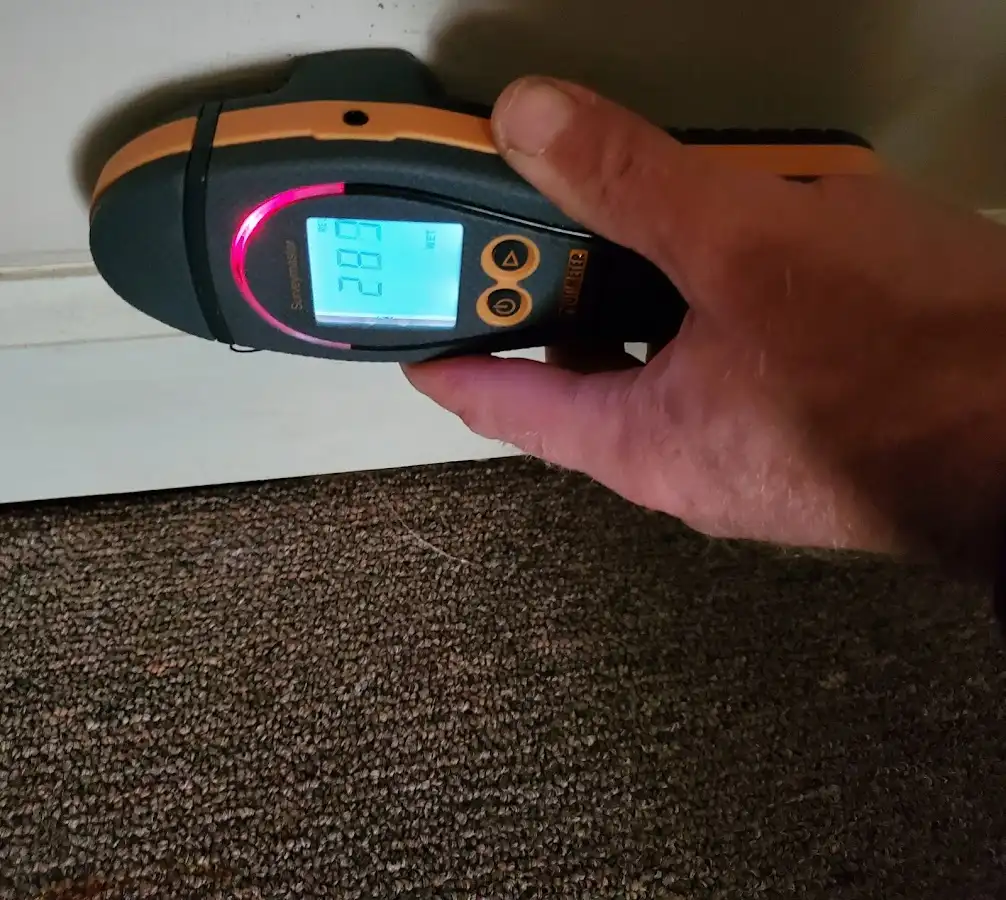 Moisture detection at baseboard during Mold Inspection & Testing in Alpena